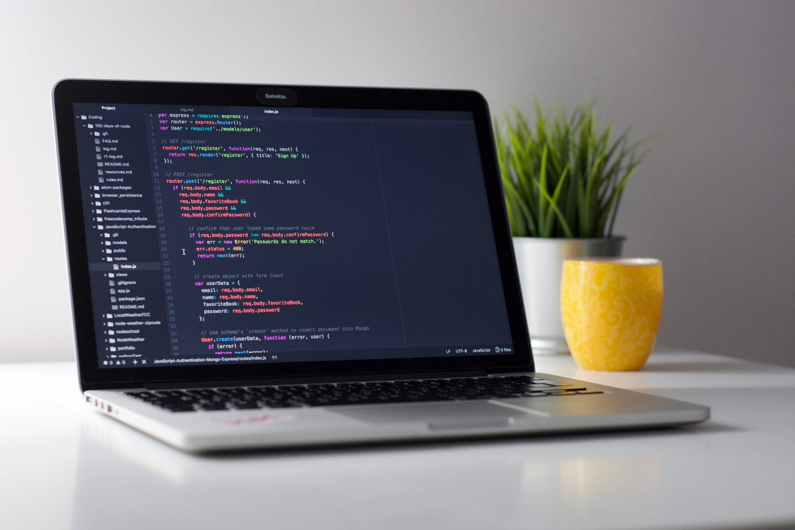 Web Development 
